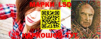 ешки Бердск