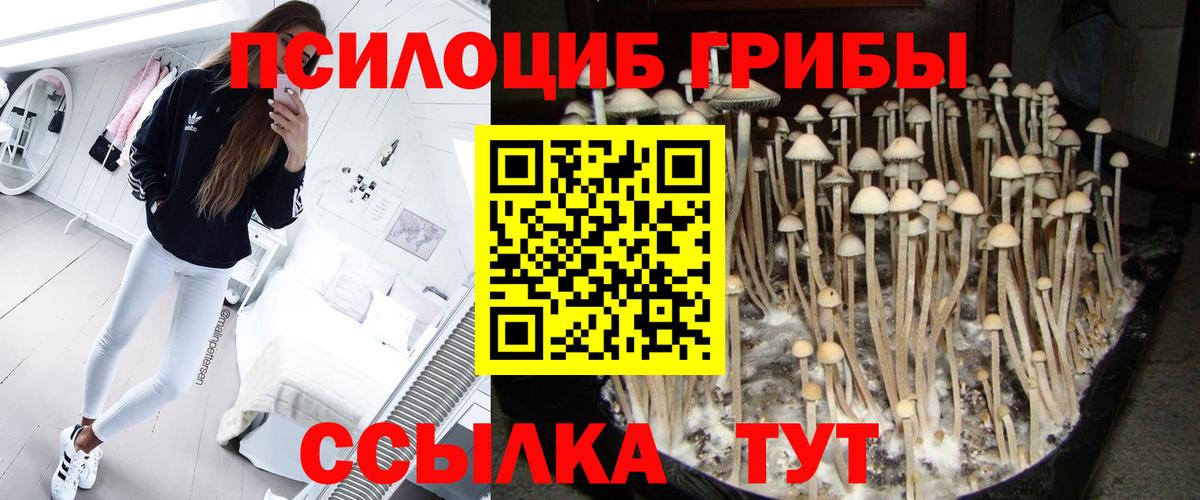 Бийск  Галлюциногенные грибы Psilocybine cubensis  Вход с VPN  Псилоцибиновые грибы MAGIC MUSHROOMS 